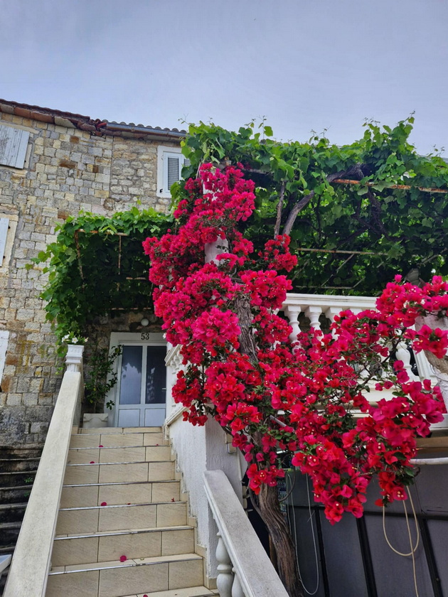 bev-na-odmor-vo-ulcinj-i-go-shetav-crnogorskoto-krajbrezhje-do-budva-magichen-star-grad-13km-pesochna-plazha-07.jpg
