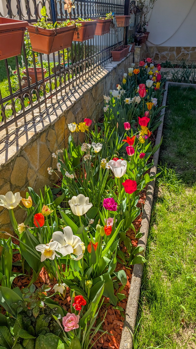 na-gosti-vo-semejniot-dom-na-davor-dave-s-kitchen-vo-ohrid-kukja-prostrana-kujna-so-pogled-kon-ezeroto-i-rajsko-dvorche-foto-03.jpg