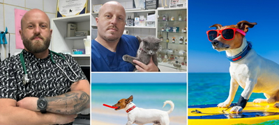 veterinarot-vancho-josifoski-za-crnobelo-top-3-soveti-kako-da-gi-zashtitite-milenicite-na-plazha-01povekje.jpg