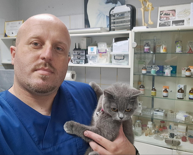 veterinarot-vancho-josifoski-za-crnobelo-top-3-soveti-kako-da-gi-zashtitite-milenicite-na-plazha-04.jpg