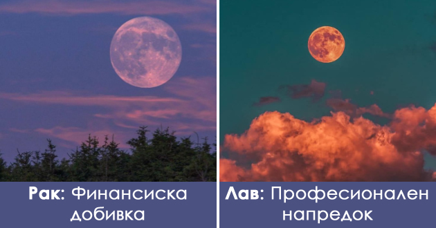 koi-pozitivni-promeni-kje-vi-gi-donese-mesechinata-na-jagodite-vo-juni-spored-horoskopskiot-znak-01.jpg