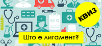medicinski-kviz-kolku-prashanja-kje-odgovorite-bez-chatgpt-povekje.jpg