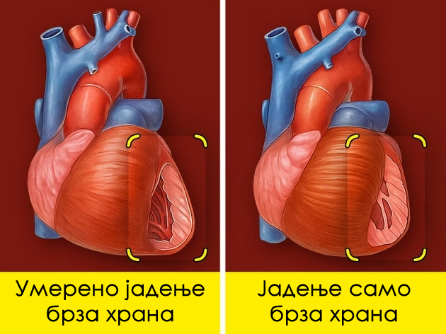 shto-kje-se-sluchi-so-vasheto-telo-ako-jadete-samo-brza-i-nezdrava-hrana-4.jpg