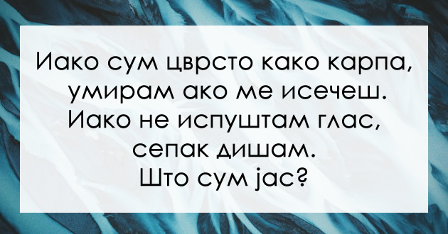 zagatka-za-najdosetlivi-shto-e-toa-shto-e-cvrsto-kako-karpa-a-sepak-umira-ako-se-iseche-01.jpg
