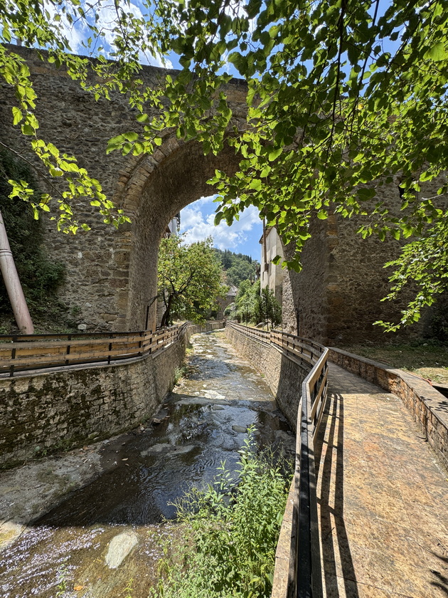 lide-stojanovska-za-rodniot-grad-kako-deca-vo-kratovo-im-se-voshituvavme-na-svetulkite-berevme-shumski-jagodi-jadevme-pastrmajka-10.jpeg