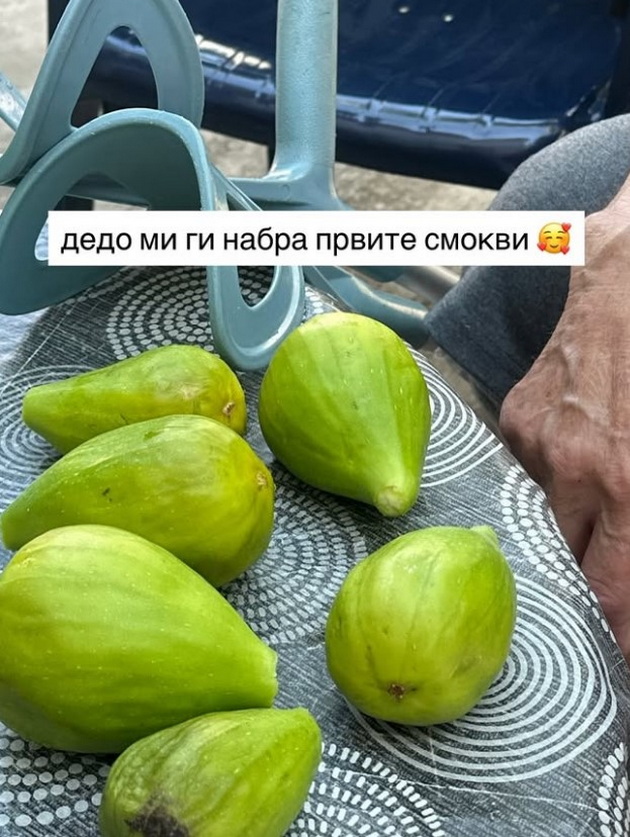 malku-raboti-se-poubavi-od-prazno-skopje-mekici-za-pojadok-kaj-baba-smokvi-nabrani-od-dedo-04.jpg
