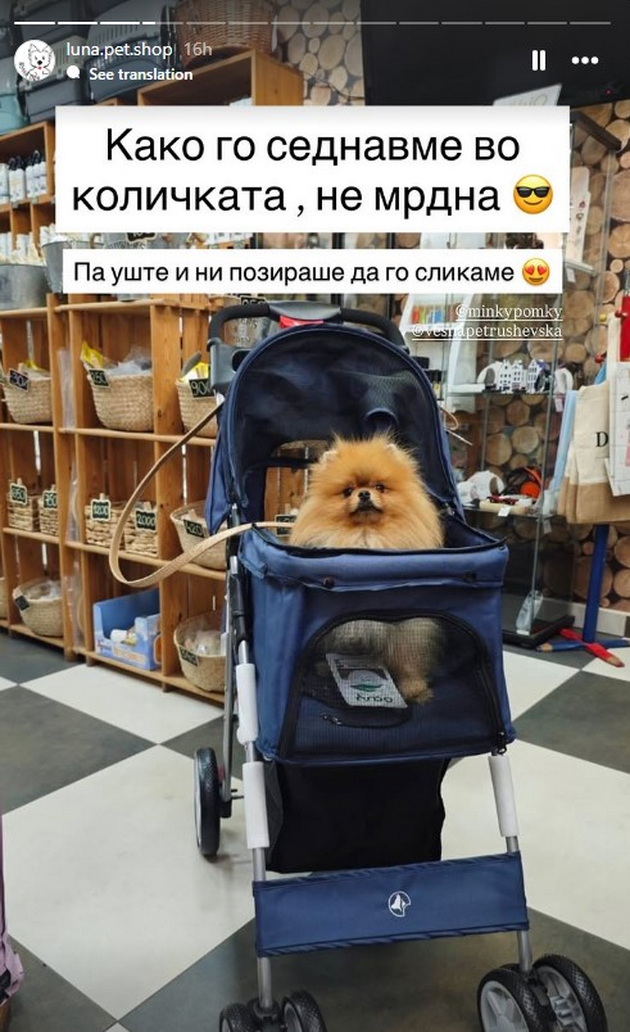 vesna-petrushevska-uzhiva-so-kjerkata-mina-i-mu-kupi-kolichka-za-proshetki-na-svoeto-kuche-minki-foto-11.jpg