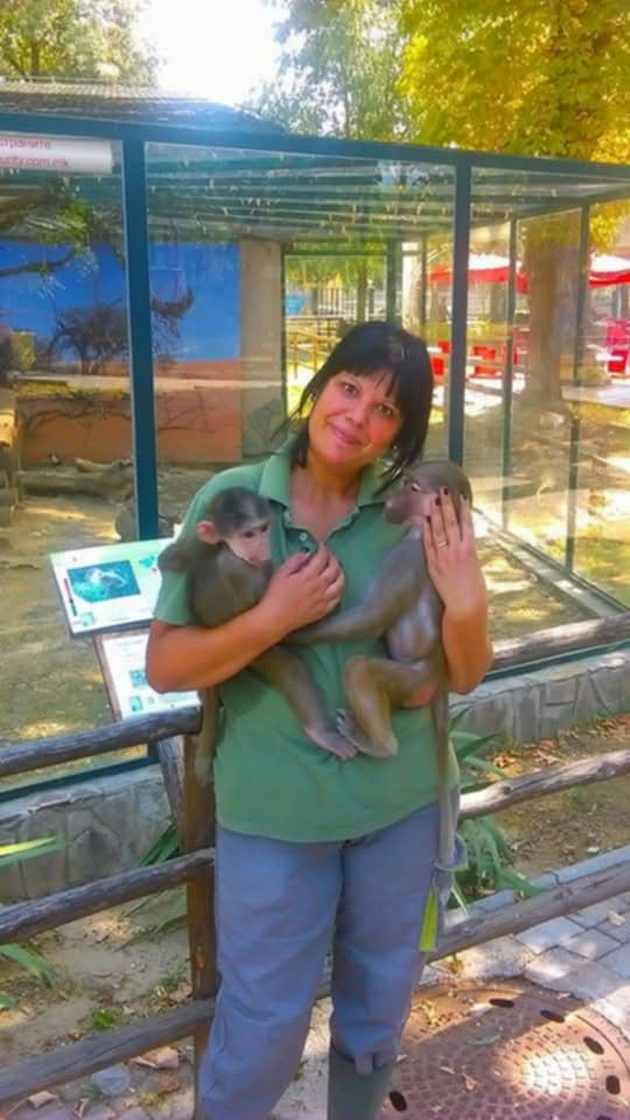 zera-bekirovska-neguvatelka-vo-skopje-zoo-majmunchinjata-so-godini-pametat-koj-se-grizhel-za-niv-koga-bile-mali-02.jpg