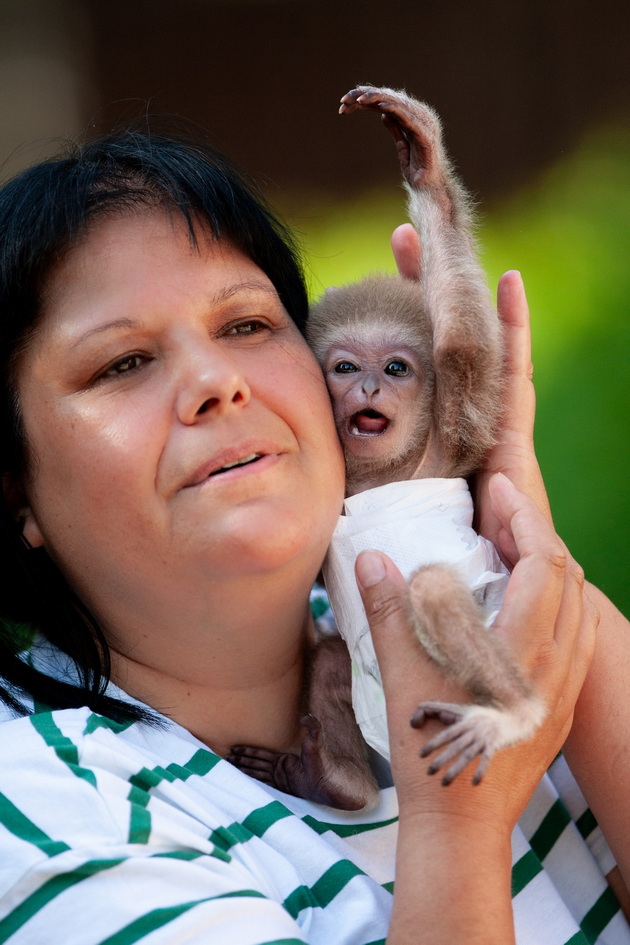zera-bekirovska-neguvatelka-vo-skopje-zoo-majmunchinjata-so-godini-pametat-koj-se-grizhel-za-niv-koga-bile-mali-10.jpg