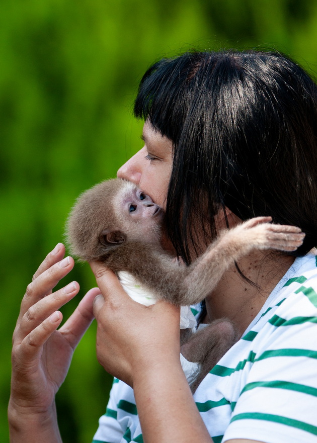 zera-bekirovska-neguvatelka-vo-skopje-zoo-majmunchinjata-so-godini-pametat-koj-se-grizhel-za-niv-koga-bile-mali-12.jpg