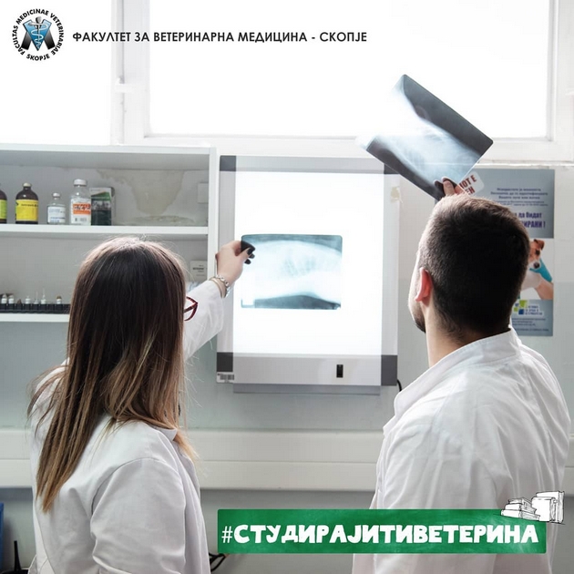 da-se-grizhish-so-znaenje-veterinarnata-medicina-kako-zhivotna-opredelba-01.JPG