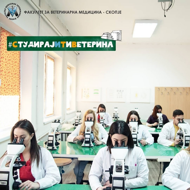da-se-grizhish-so-znaenje-veterinarnata-medicina-kako-zhivotna-opredelba-02.JPG