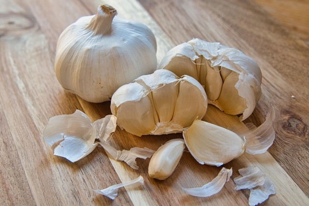 kafe-kako-gjubrivo-luk-za-zashtita-od-insekti-trikovi-za-zdravi-rastenija-so-produkti-shto-gi-imate-doma-08.JPG