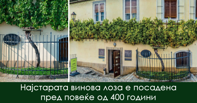 kina-ima-povekje-vojnici-otkolku-makedonija-zhiteli-i-ushte-8-fakti-shto-ne-ste-gi-slushnale-dosega-01.jpg