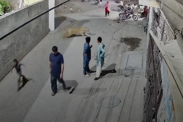 voznemiruvachko-video-izbegan-lav-napadna-zhena-i-2-deca-vo-pakistan-sopstvenicite-se-uapseni-04.JPG