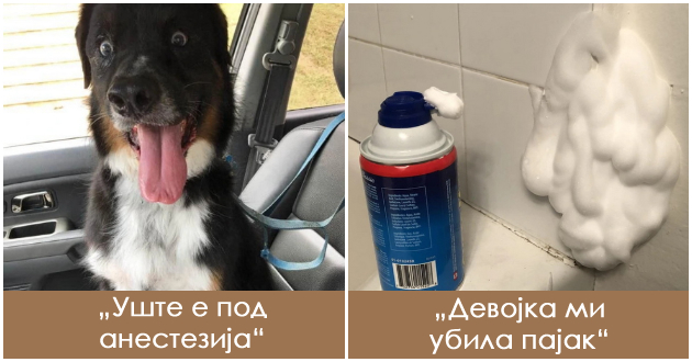 16-foto-dokazi-deka-ima-momenti-vo-zhivotot-koi-se-posmeshni-od-cirkus-01.jpg