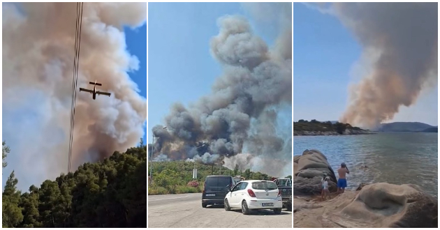 golem-pozhar-blizu-vurvuru-na-halkidiki-turisti-se-evakuiraat-se-gasi-so-kanaderi-01.jpg