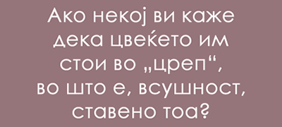 jazichen-predizvik-shto-znachi-crep--poveke-01_copy.jpg