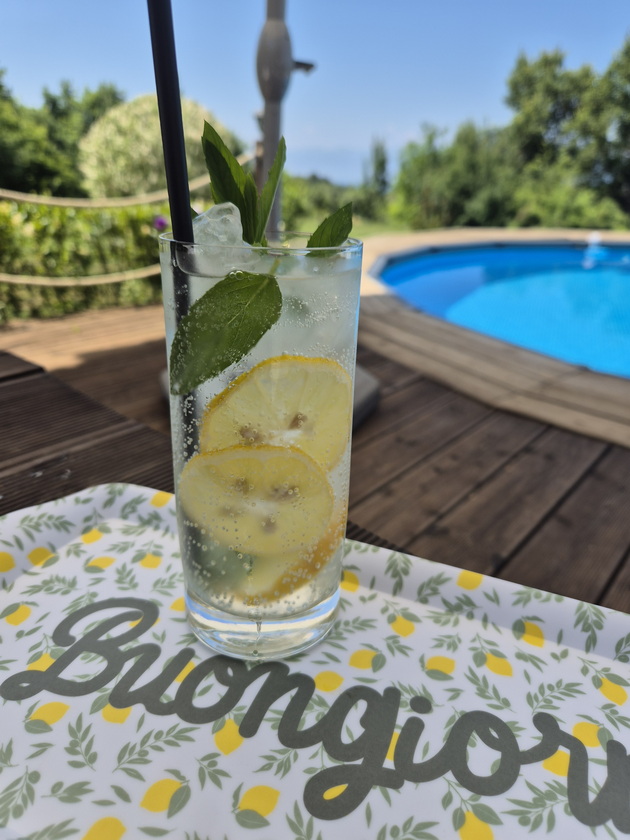 maja-od-ohrid-celo-leto-si-pravi-tematski-zabavi-so-limon-dekoracii-kupuvam-kaj-nas-inspiracija-mi-e-amalfi-14.jpg