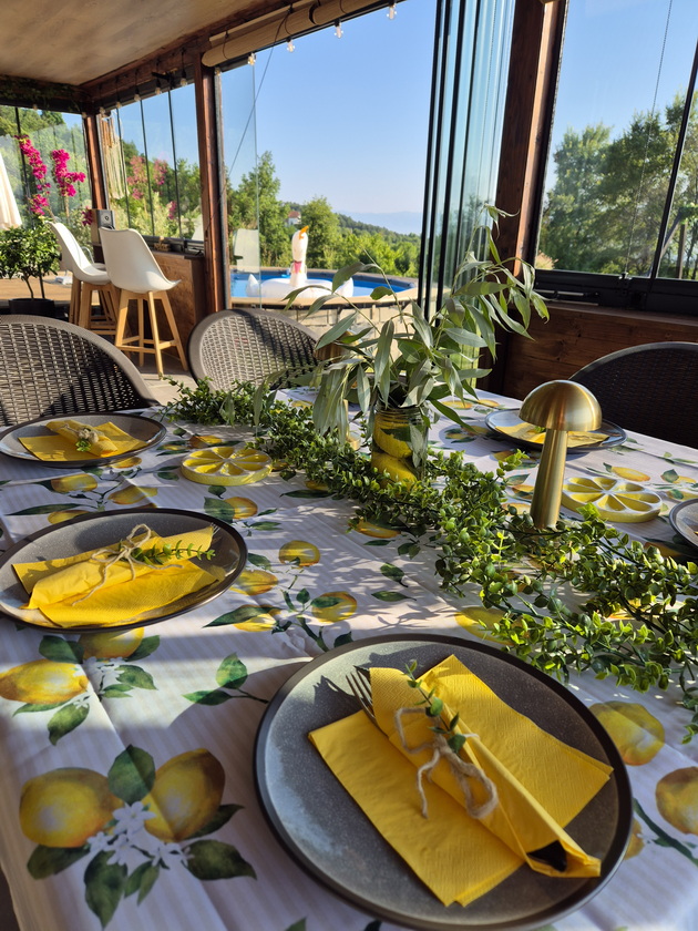 maja-od-ohrid-celo-leto-si-pravi-tematski-zabavi-so-limon-dekoracii-kupuvam-kaj-nas-inspiracija-mi-e-amalfi-15.jpg