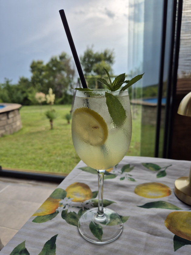 maja-od-ohrid-celo-leto-si-pravi-tematski-zabavi-so-limon-dekoracii-kupuvam-kaj-nas-inspiracija-mi-e-amalfi-16.jpg