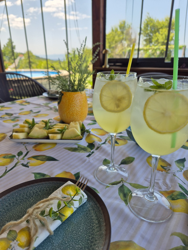 maja-od-ohrid-celo-leto-si-pravi-tematski-zabavi-so-limon-dekoracii-kupuvam-kaj-nas-inspiracija-mi-e-amalfi-19.jpg