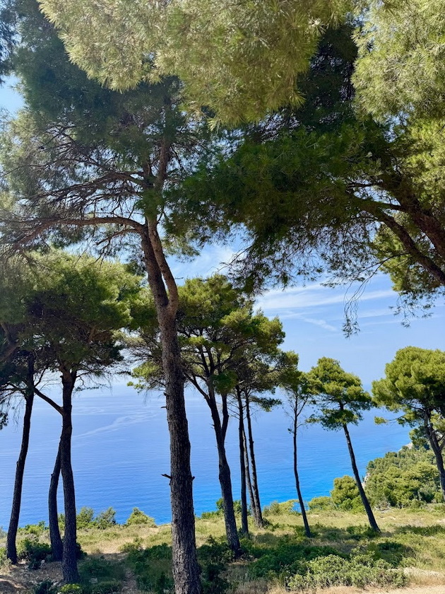 na-odmor-so-branko-na-lefkada-si-nosam-lezhalka-na-sekoja-plazha-vo-3-godini-nikogash-ne-sum-nachekal-ogromni-branovi-49.jpg