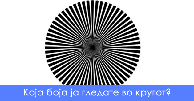 optichka-iluzija-bojata-shto-kje-ja-vidite-vo-krugot-otkriva-dali-imate-genijalen-um-01.jpg