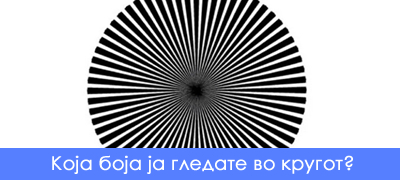 optichka-iluzija-bojata-shto-kje-ja-vidite-vo-krugot-otkriva-dali-imate-genijalen-um-poveke-01.jpg