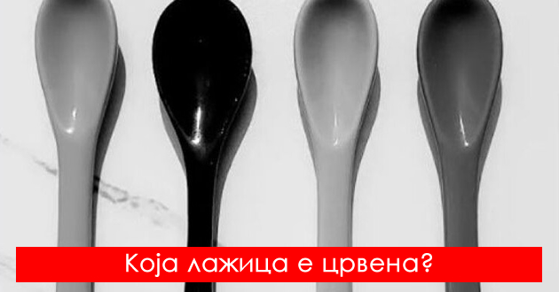 testirajte-ja-intuicijata-koja-od-chetirite-lazhici-e-crvena-video-01.jpg
