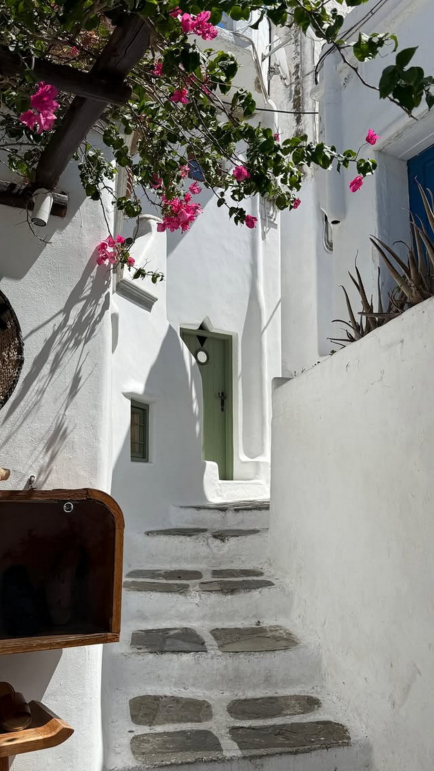 zherkata-na-zheljko-joksimovikj-e-privlechna-brineta-uzhiva-na-odmor-na-mikonos-foto-03.jpg