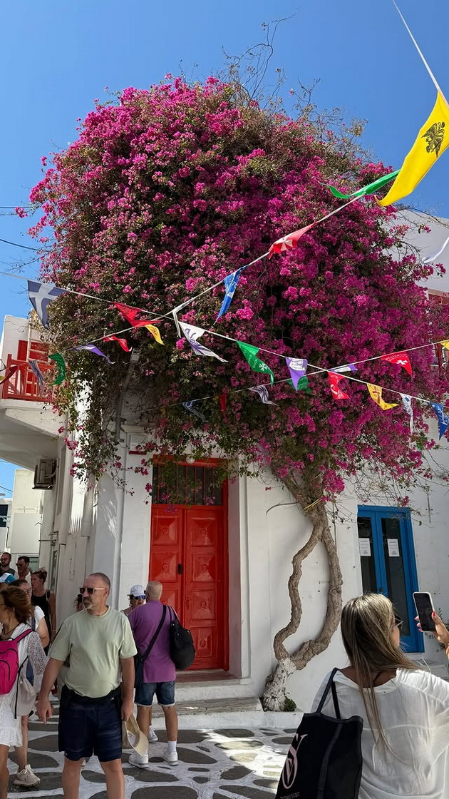 zherkata-na-zheljko-joksimovikj-e-privlechna-brineta-uzhiva-na-odmor-na-mikonos-foto-06.jpg