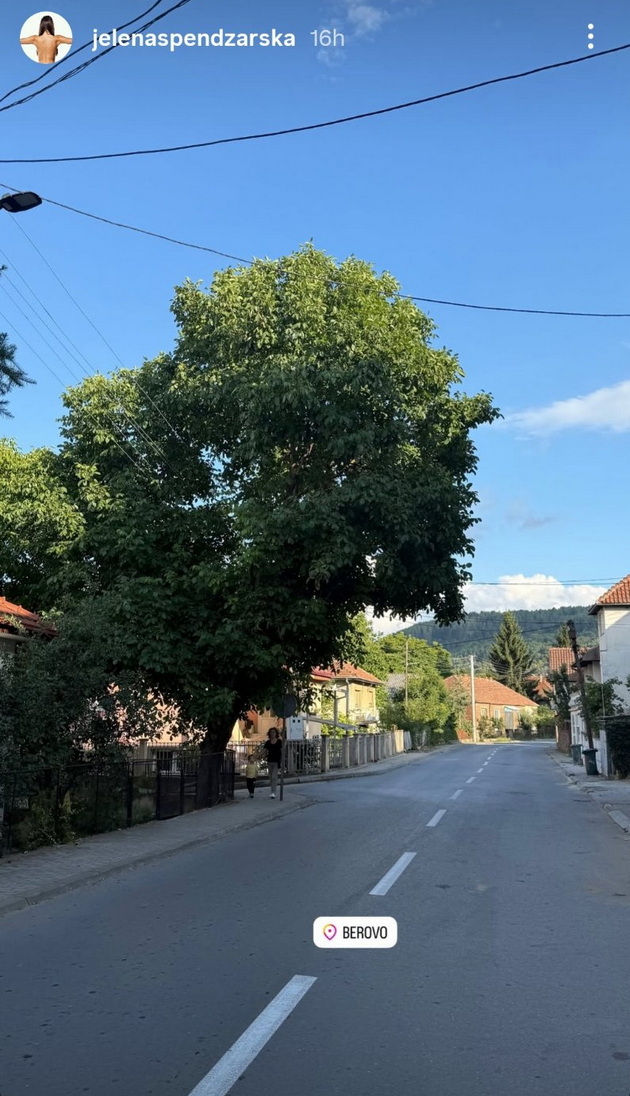 jelena-spendjarska-uzhiva-vo-rodnoto-berovo-baba-i-i-napravi-zelnik-na-kafe-so-majka-i-06_copy.jpg