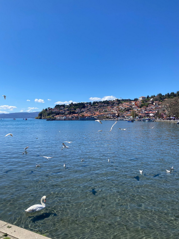 na-odmor-so-magdalena-vo-ohrid-na-tura-so-gliser-vidov-skriena-priroda-kokteli-se-do-500-denari-isto-kolku-vo-komo-11.jpg