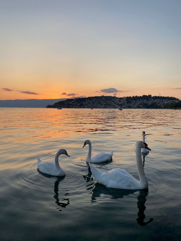 na-odmor-so-magdalena-vo-ohrid-na-tura-so-gliser-vidov-skriena-priroda-kokteli-se-do-500-denari-isto-kolku-vo-komo-12.jpg