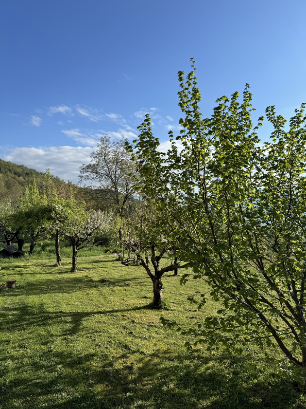 vo-dvorot-na-branko-vo-vevchani-14.jpg
