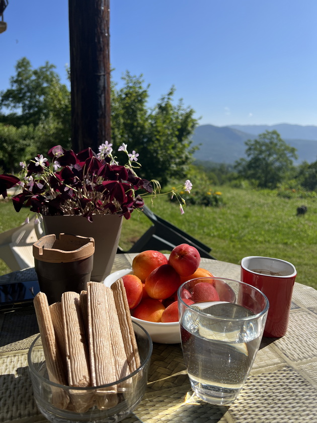 vo-dvorot-na-branko-vo-vevchani-17.jpg