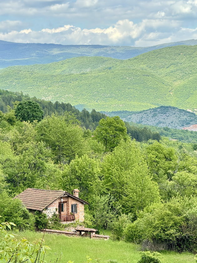 vo-dvorot-na-branko-vo-vevchani-24.jpg