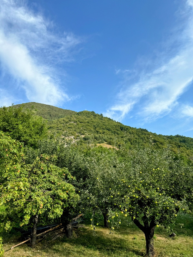 vo-dvorot-na-branko-vo-vevchani-37.jpg