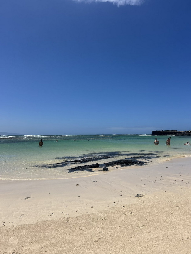 na-odmor-so-jana-klopchevska-na-kanarski-ostrovi-na-lanzarote-piev-vino-od-vulkanska-pochva-fuerteventura-e-pustinska-oaza-kako-na-dve-planeti-16.jpg