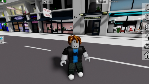 kidnapiranja-pedofili-izmami-za-pari-mrachnata-strana-na-platformata-robloks-shto-e-hit-i-kaj-nas-10.JPG