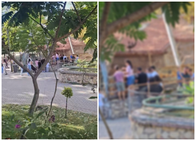 nekultura-vo-skopje-zoo-deca-se-kachuvaat-na-ograda-mazh-se-rasprava-so-neguvatelot-koj-probuva-da-gi-sprechi-02.jpg