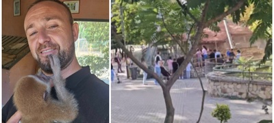nekultura-vo-skopje-zoo-deca-se-kachuvaat-na-ograda-mazh-se-rasprava-so-neguvatelot-koj-probuva-da-gi-sprechi-povekje.jpg