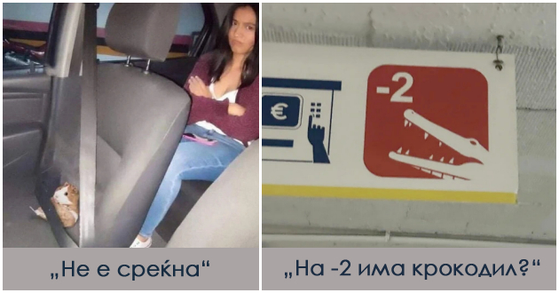 10-neobichni-fotografii-koi-kje-vi-izmamat-nasmevka-01.jpg