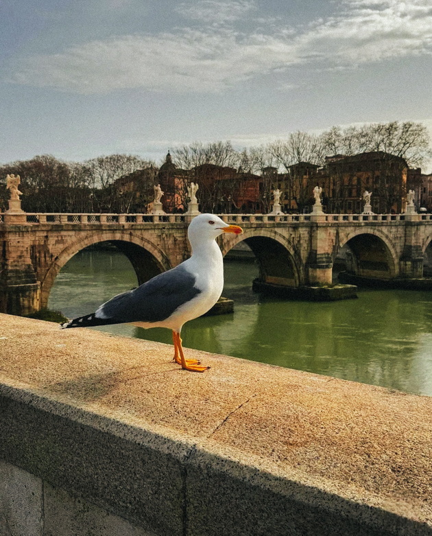 borjan-od-skopje-za-zhivotot-vo-rim-kafeto-e-najubavo-vo-mali-barovi-bez-turisti-birokratijata-me-nauchi-na-trpenie-59_copy.jpg