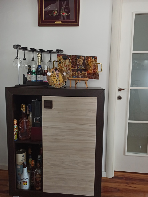 vo-domot-na-nevenka-i-gavrilo-vo-shtip-dupleks-od-156m2-so-ograda-od-kovano-zhelezo-vo-dnevnata-i-muzichki-instrumenti-37.jpg