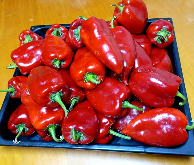 vo-kujna-so-monika-od-prilep-kinati-piperki-so-luk-zimnica-shto-ja-obozhava-celoto-semejstvo-05.jpg