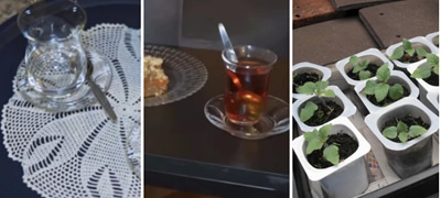 plastichni-kanchinja-kako-saksii-i-ushte-5-raboti-koi-gi-ima-vo-turskite-domovi-a-i-kaj-nas-povekje01.jpg