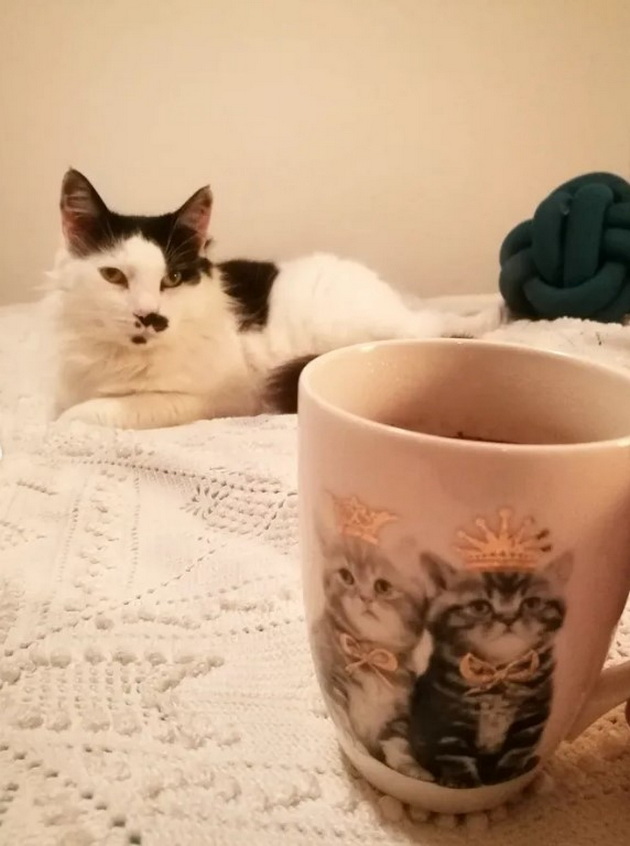 elena-stojchevska-e-vljubenichka-vo-kafe-kafe-sama-vo-tishina-kafe-so-semejstvoto-za-mene-ova-e-najubaviot-ritual-13.jpg