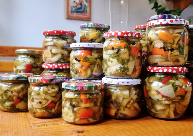 mila-od-oreshani-ima-svoja-gradina-so-ostatocite-od-zelenchuk-na-steblata-si-pravam-turshija-koj-e-mojot-recept-07_2.jpg